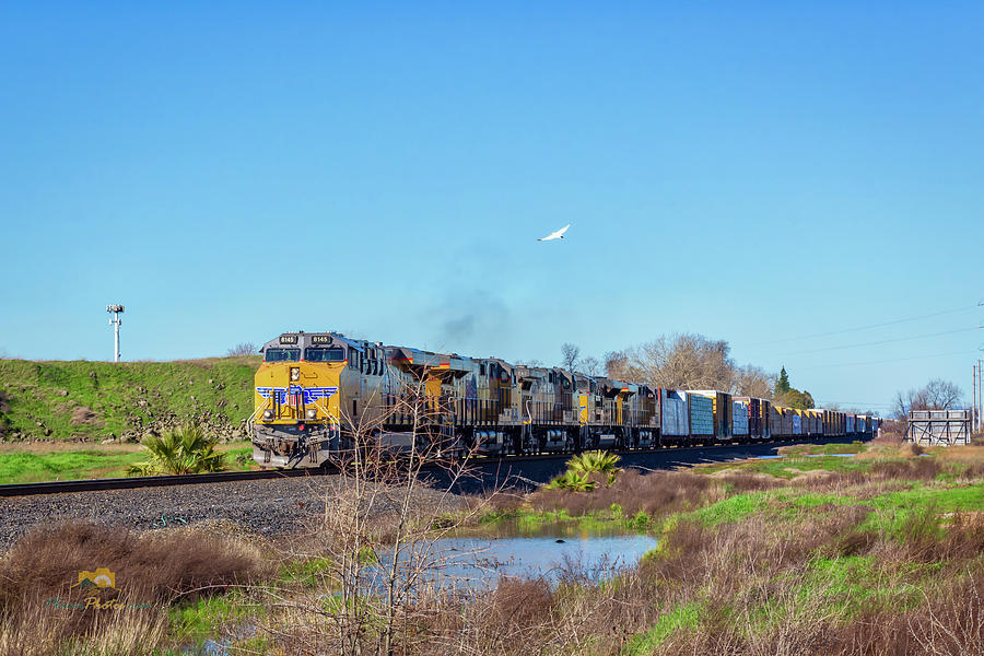 Up8145 #1 Photograph by Jim Thompson