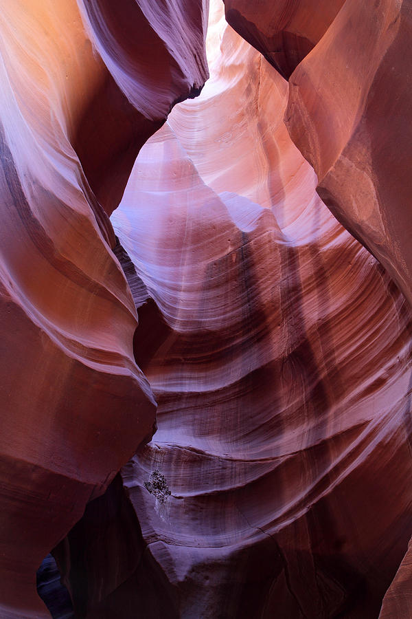 Upper Antelope Canyon  #1 Photograph by Pierre Leclerc Photography