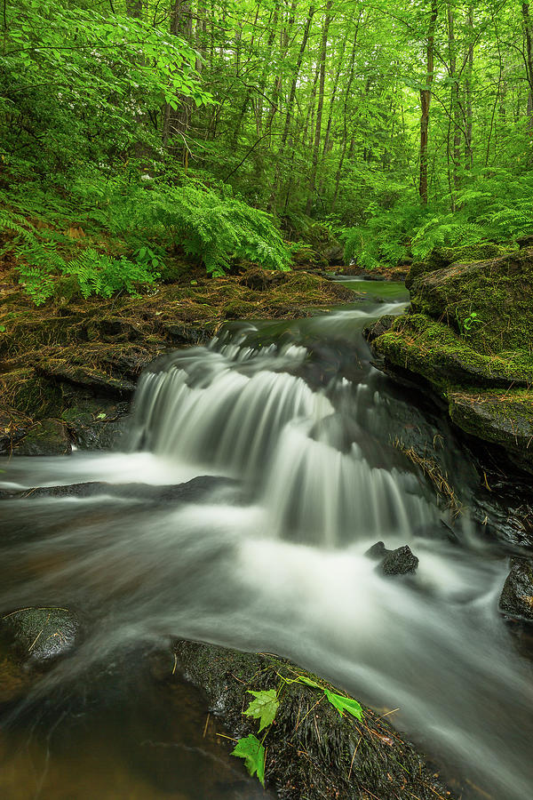 Upper Garwin Photograph by Thomas Miller - Fine Art America