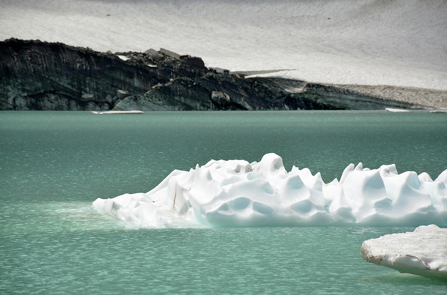 Upper Grinnell Glacier Lake with Icerbergs #1 Photograph by Bruce Gourley