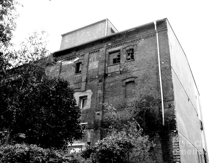 Urban Decay in Dessau #2 Photograph by Chani Demuijlder