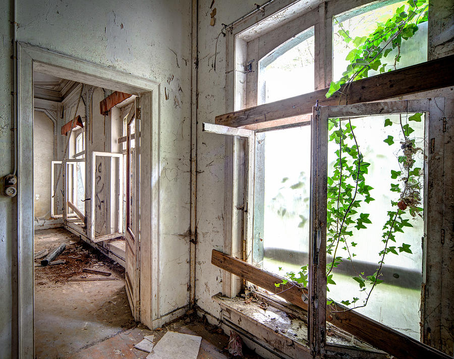 Urban decay nature takes over - abandoned building #1 Photograph by Dirk Ercken