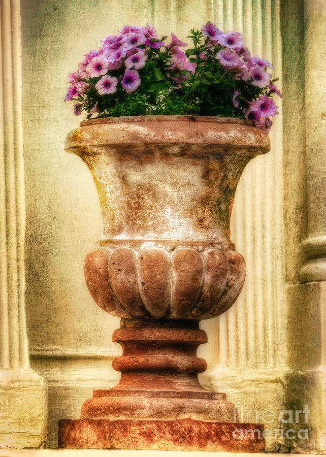 Urn with Purple Flowers #2 Photograph by Jerry Fornarotto