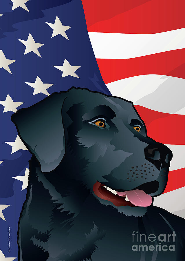 Labrador Retriever Digital Art - USA Black Lab #1 by Joe Barsin
