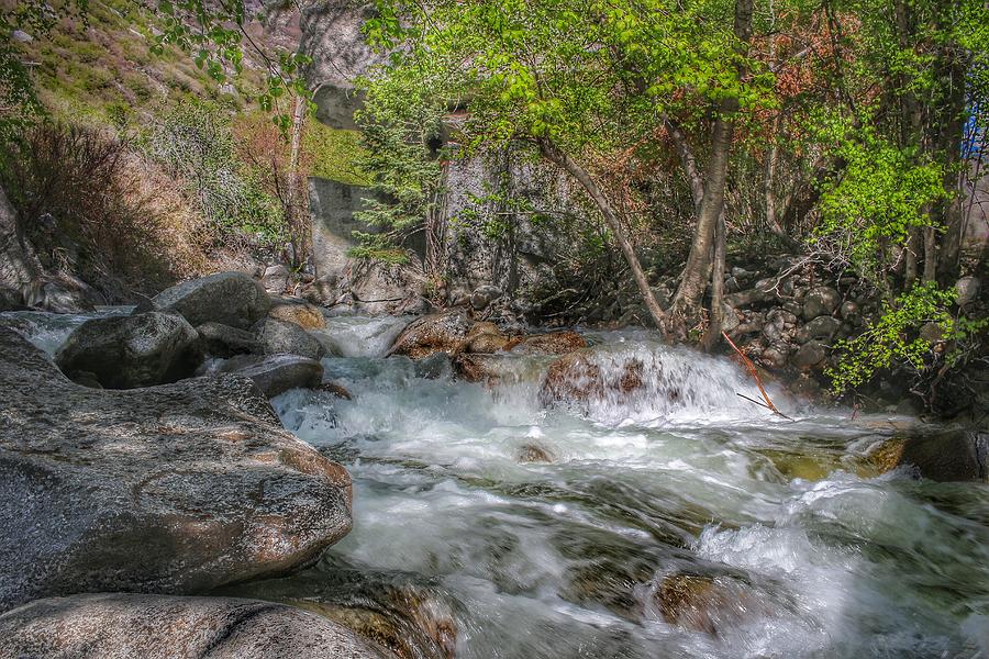 Utah Stream  #1 Photograph by Buck Buchanan
