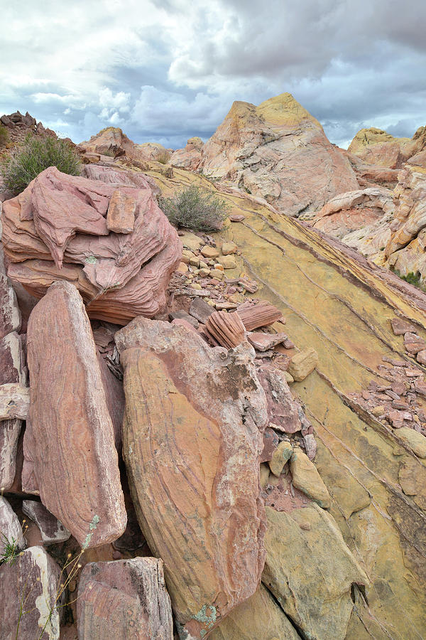Valley of Fire Back Country #10 Photograph by Ray Mathis