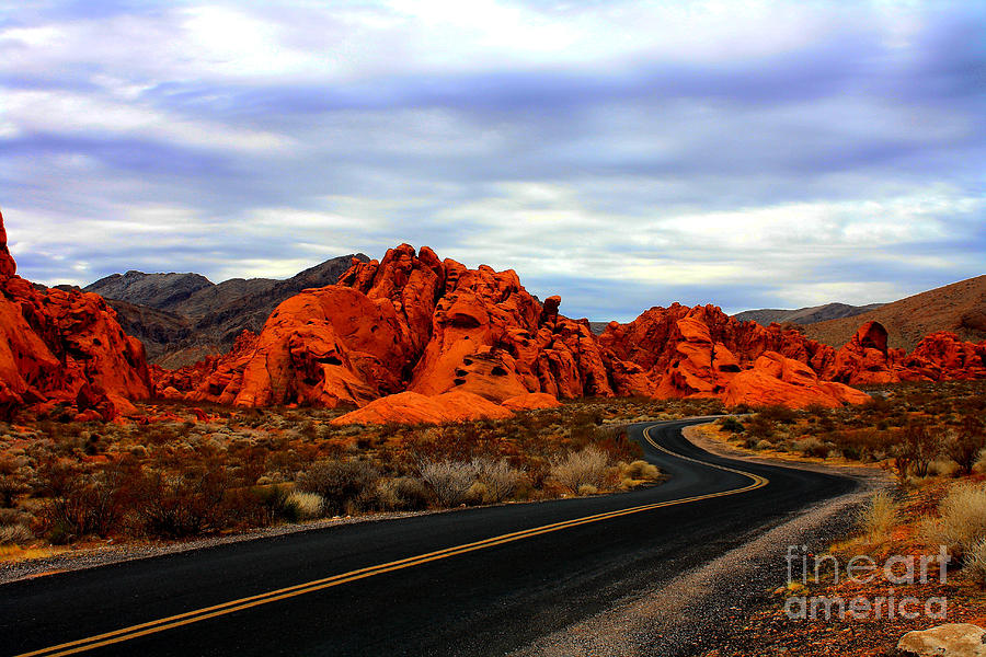 Valley Of Fire #1 Photograph by Barbara Teller