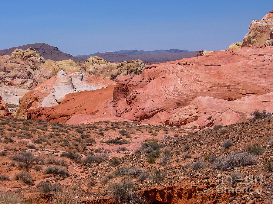 Valley of Fire #1 Photograph by Benny Marty