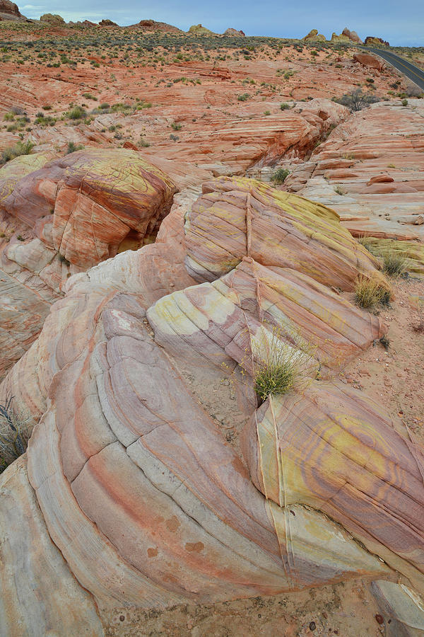 Valley of Fire Color Palette  #1 Photograph by Ray Mathis