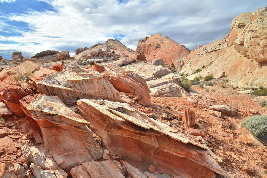 Valley of Fire High Country #5 Photograph by Ray Mathis
