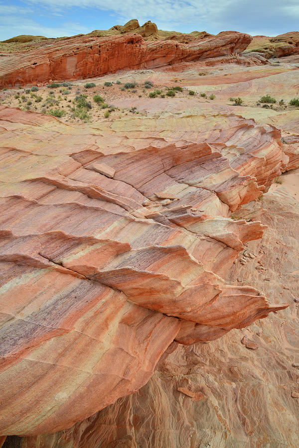 Valley of Fire Rainbow of Sandstone #1 Photograph by Ray Mathis