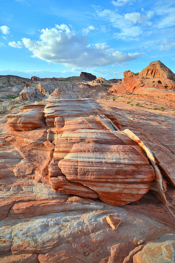 Valley of Fire State Park #3 Photograph by Ray Mathis