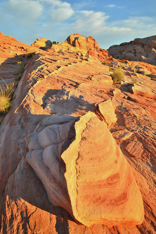Valley of Fire Sunrise on Golden Domes #2 Photograph by Ray Mathis