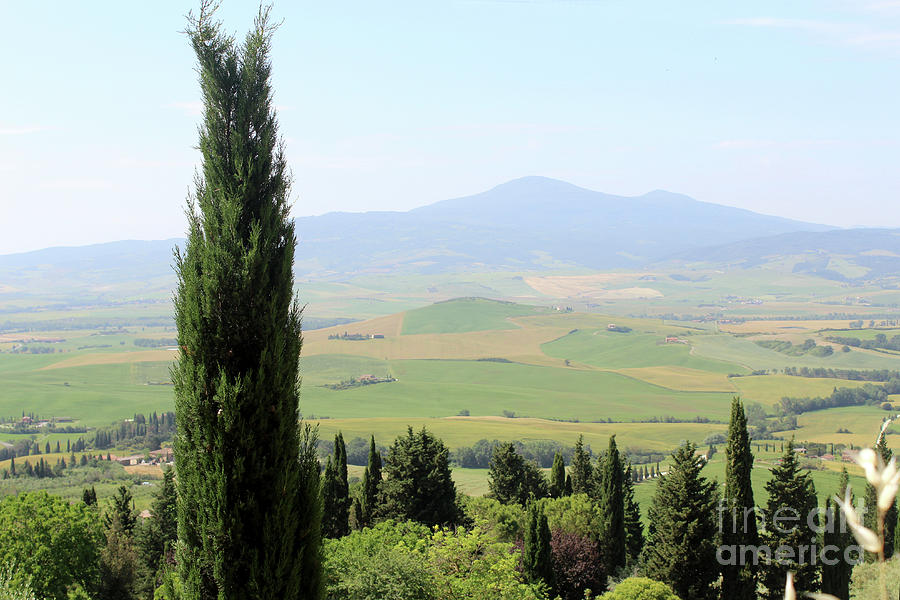 Valley of Orcia near Pienza Italy #1 Photograph by Adam Long