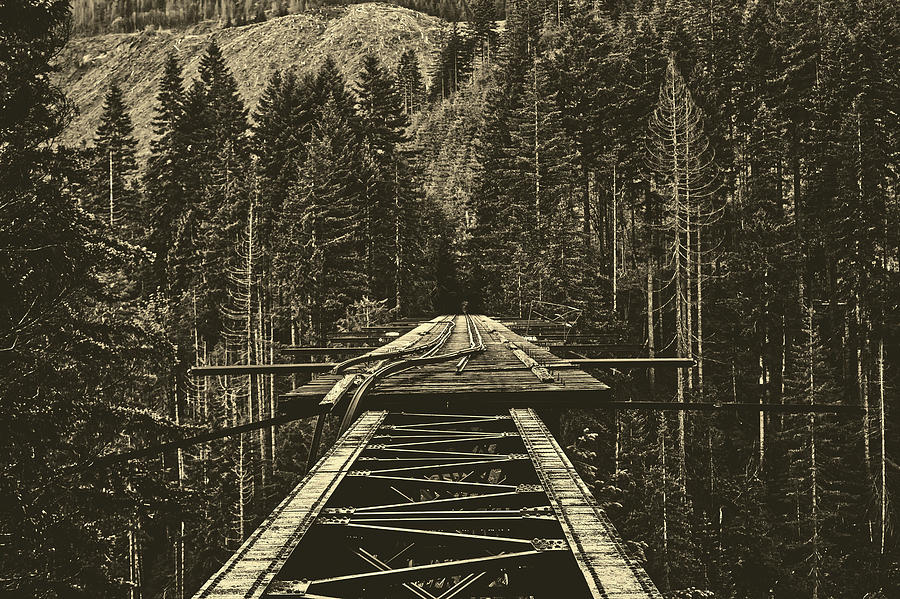 Vance Creek Bridge, Washington #1 Photograph by Mountain Dreams