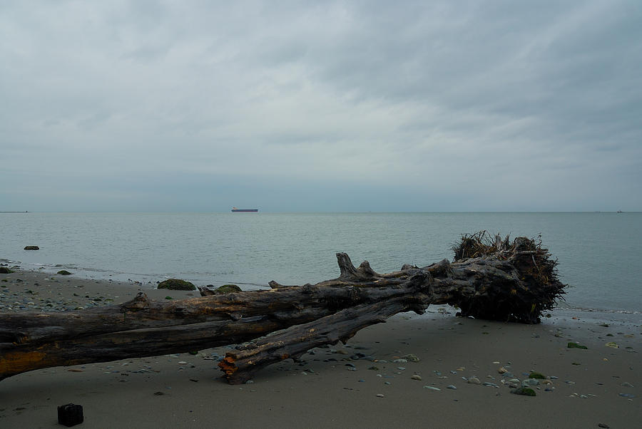 Vancouver Tower Beach  #1 Photograph by Steven Richman