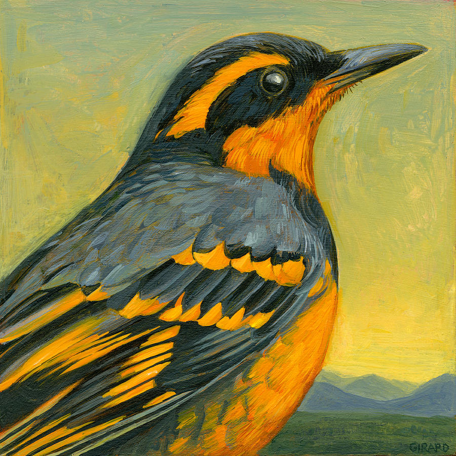 Bird Painting - Varied Thrush #2 by Francois Girard