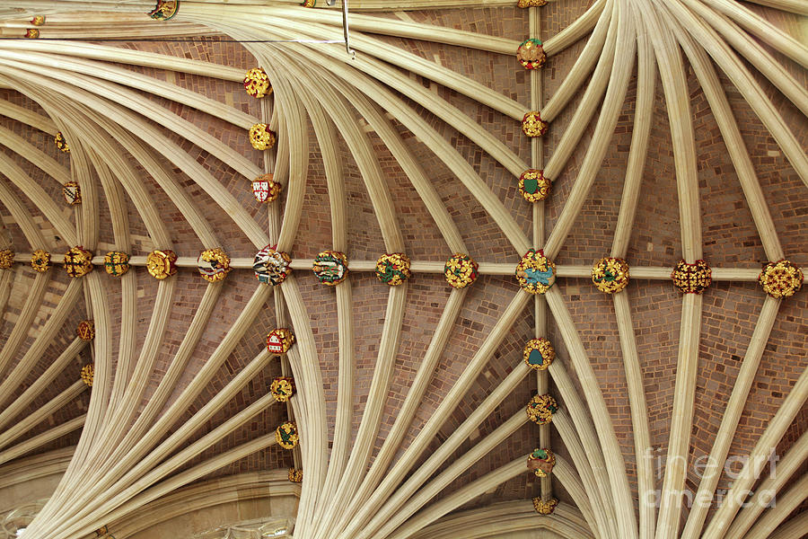 Vaulted ceiling in Exeter cathedral Photograph by Patricia Hofmeester