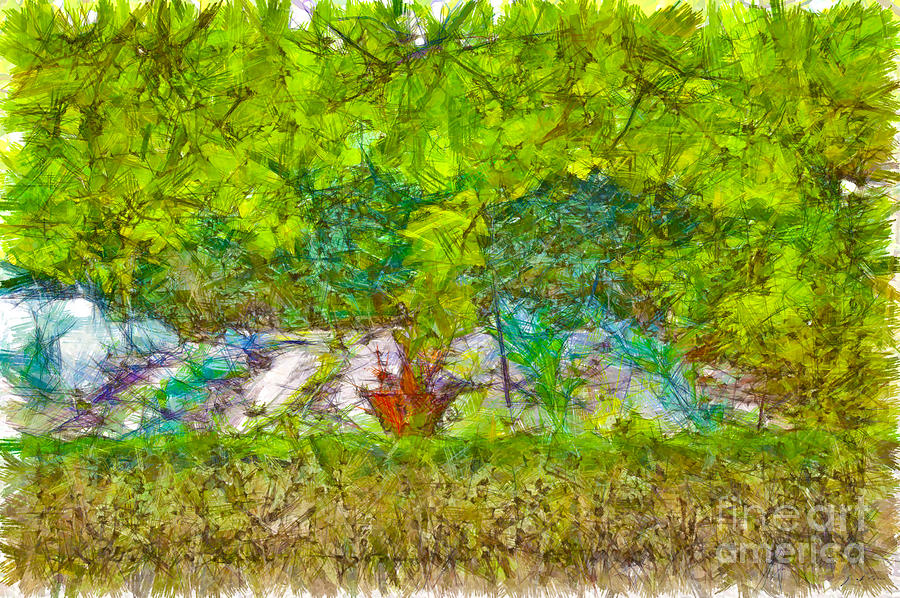 Vegetable garden by Giuseppe Cocco Vegetable garden by Giuseppe Cocco