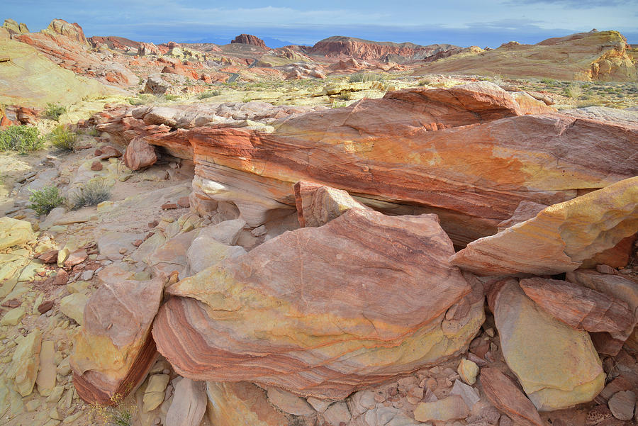 Veins of Color in Valley of Fire #1 Photograph by Ray Mathis