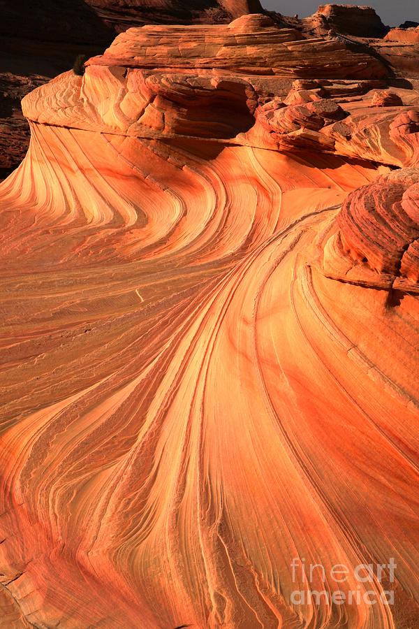 Vermilion Cliffs Dragon #1 Photograph by Adam Jewell