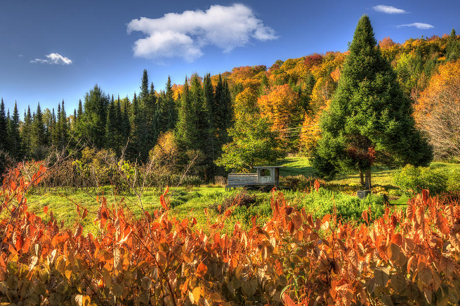 Vermont Fall Foliage Photograph