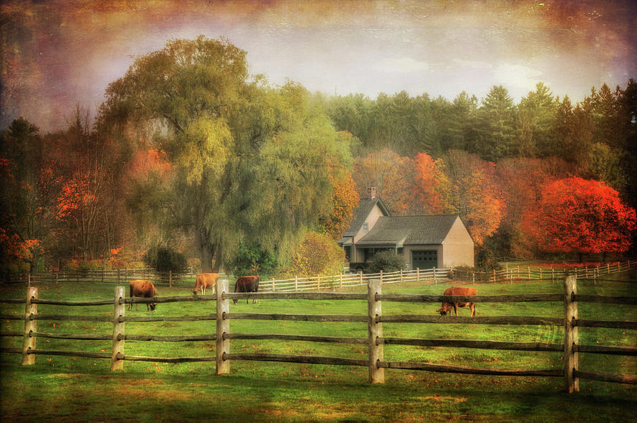 Vermont Farm in Autumn #2 Photograph by Joann Vitali