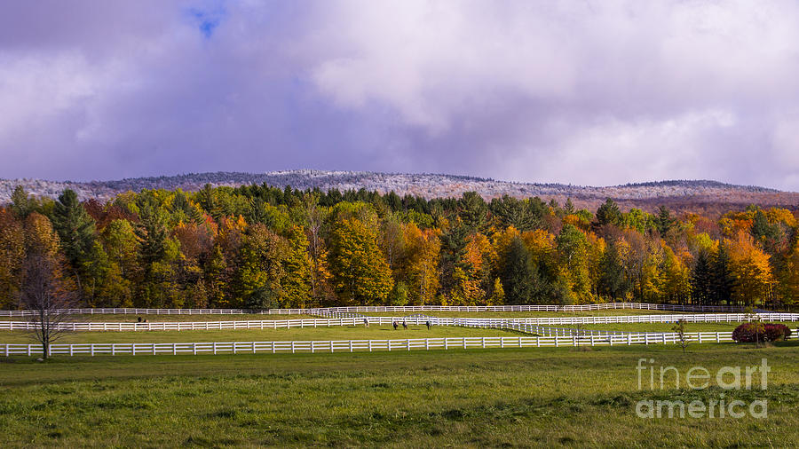 Vermont Horse Farm in the Autumn. Mad River Valley, Vermont. #2 Photograph by New England Photography