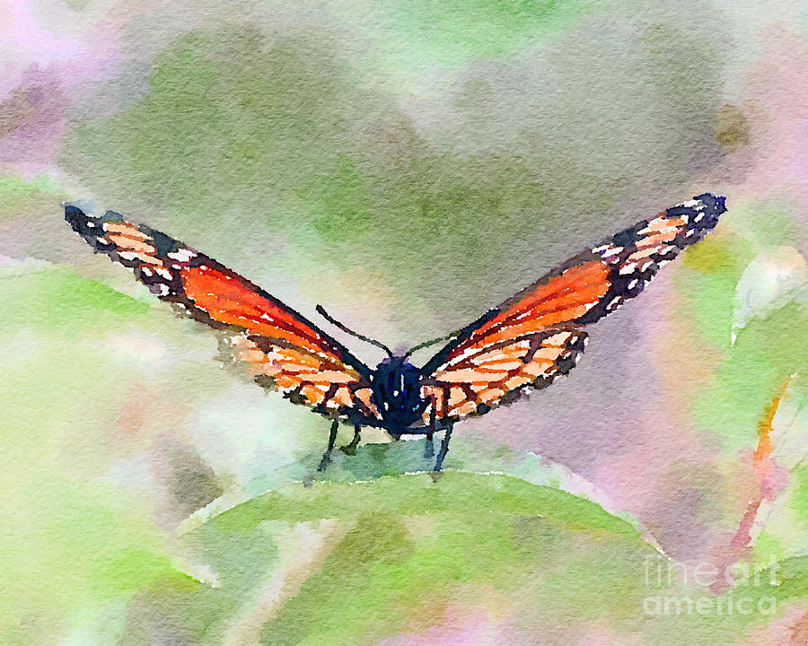 Viceroy Butterfly  #1 Painting by Kerri Farley