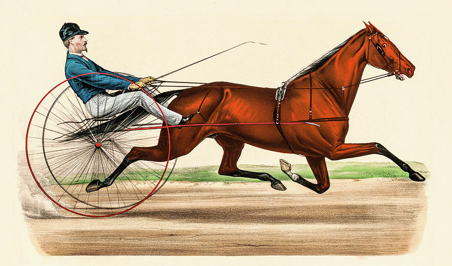 Victorian Jockey #1 Photograph by David Letts