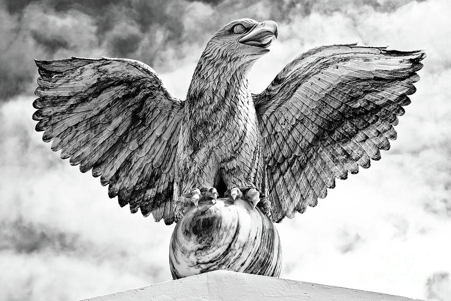 Victorious Eagle of Marble #1 Photograph by Yurix Sardinelly