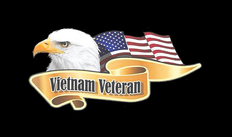 Vietnam Eagle #1 Painting by Herb Strobino