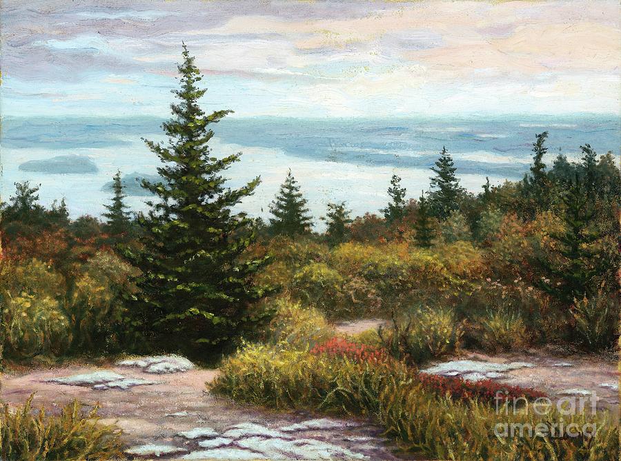 View from Cadillac Mountain #1 Painting by Carl Downey