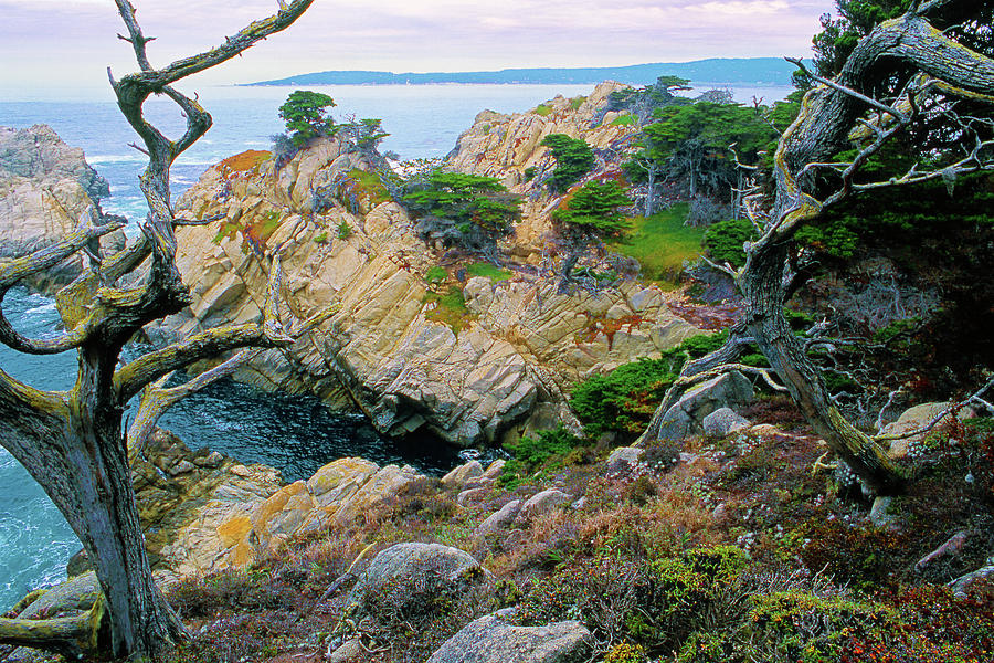 View from Cypress Trail Point Lobos State Park Carmel California Photograph by Kathy Anselmo