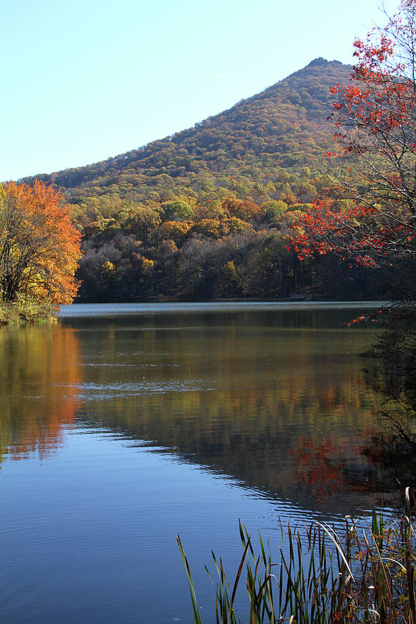 View of Abbott Lake and Sharp Top in autumn #1 Photograph by Emanuel Tanjala