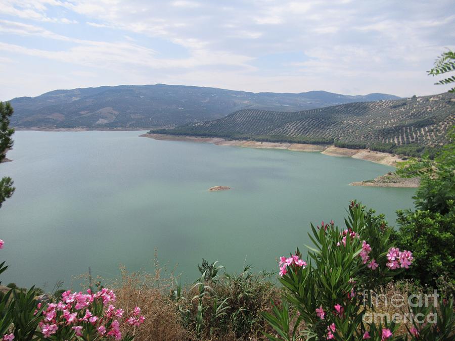 View of the lake in Iznajar #2 Photograph by Chani Demuijlder