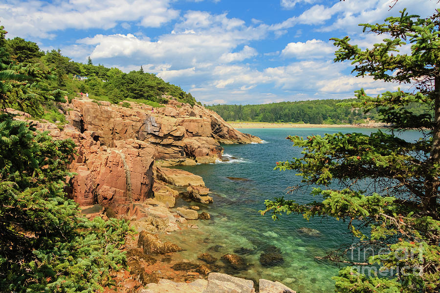 Acadia National Park Photograph - View to Sand Beach  #1 by Elizabeth Dow