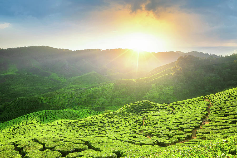 Viewpoint on the top of cameron highland Photograph by Anek ...