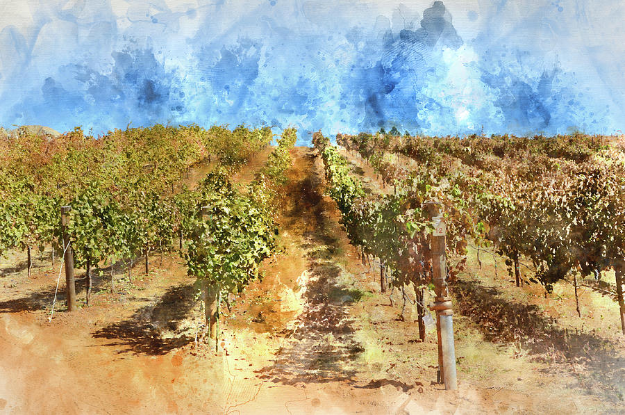 Nature Photograph - Vineyard with Blue Sky in Autumn with Vintage Film Style Filter #1 by Brandon Bourdages