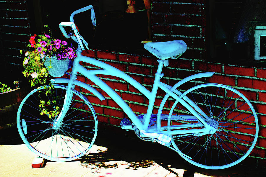 Vintage Bicycle  #1 Photograph by Cathy Anderson
