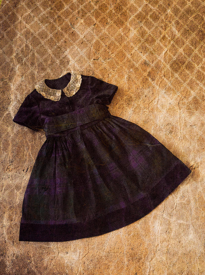 Vintage Dress #1 Photograph by Erin Cadigan
