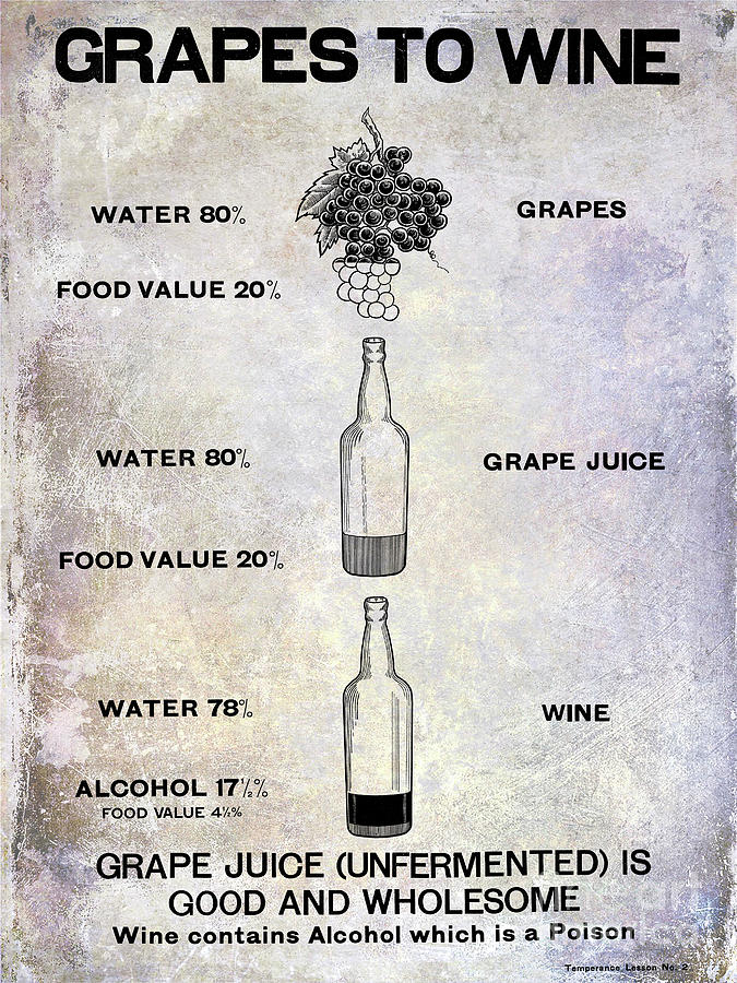 Vintage Grape to Wine Chart #2 Photograph by Jon Neidert