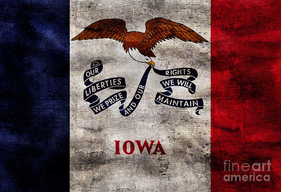 Vintage Iowa Flag #1 Photograph by Jon Neidert