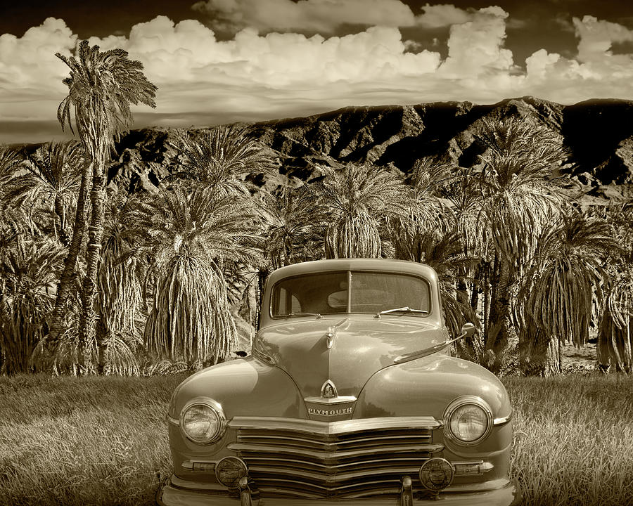 Vintage Plymouth Automobile in Sepia Tone against Palm Trees #1 Photograph by Randall Nyhof