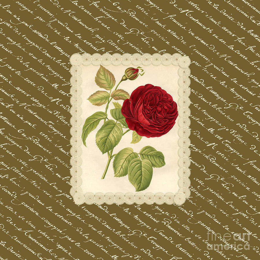 Vintage Red Rose with French Script #2 Digital Art by Anne Kitzman