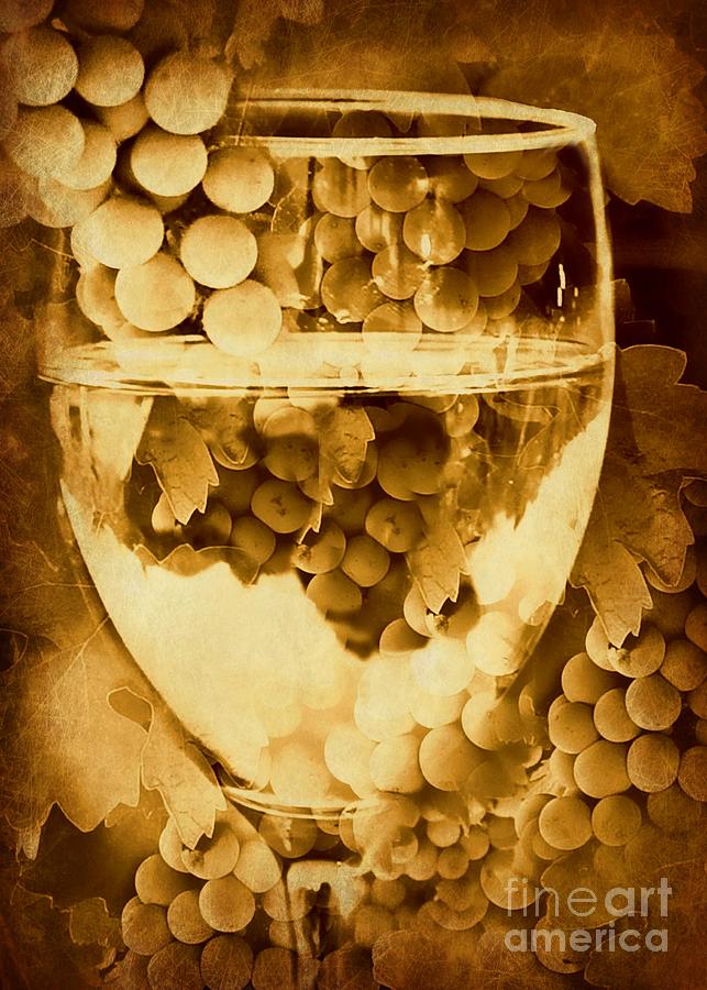 Vintage Wine #1 Photograph by Stephanie Laird
