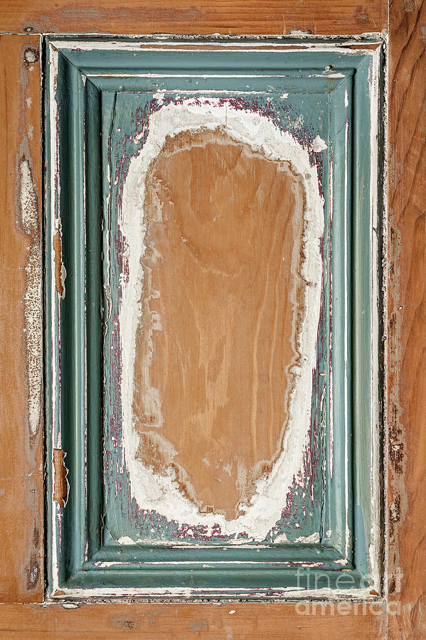 Vintage wooden door panel  #1 Photograph by Elena Elisseeva