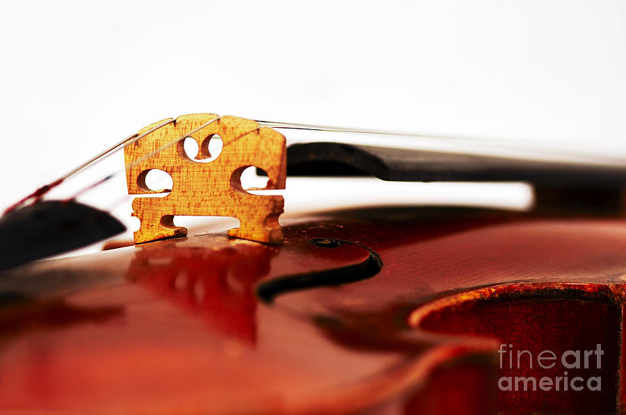 Music Photograph - Violin bridge #1 by Michal Boubin