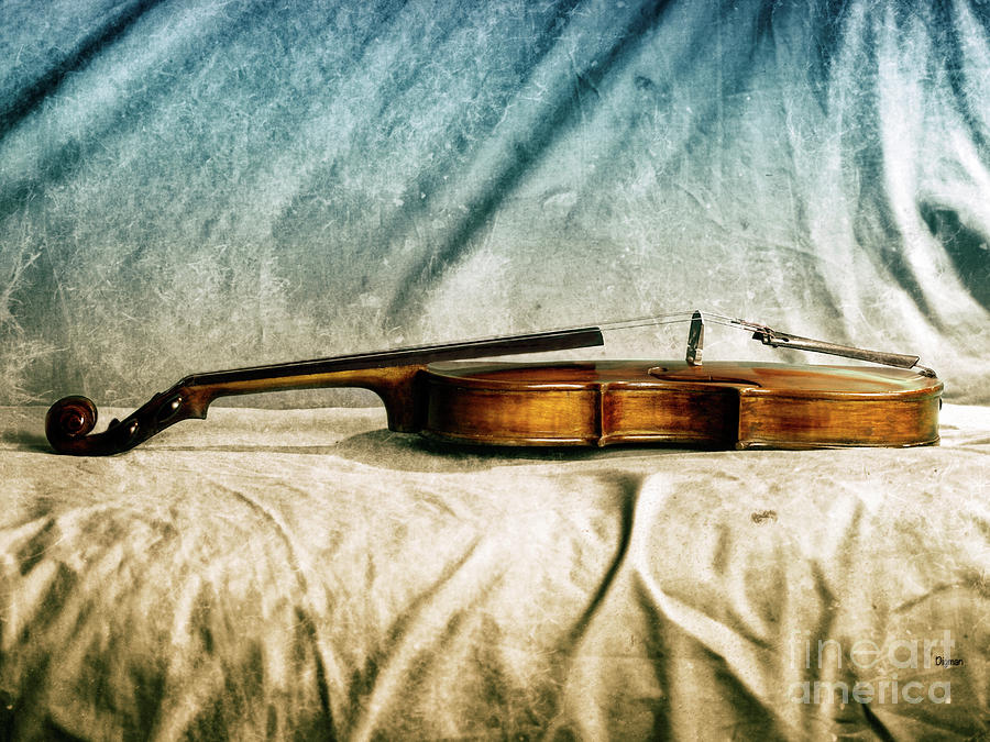 Violin Photograph - Violin in Repose  by Steven Digman