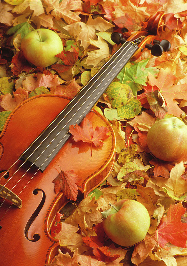 Violin With Fallen Leaves Photograph